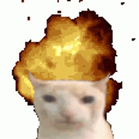 exploding cat gif|cat explosion meme.